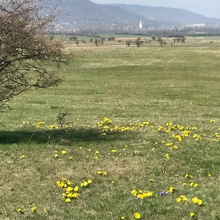 Gólyásház Apartman Kővágóörs