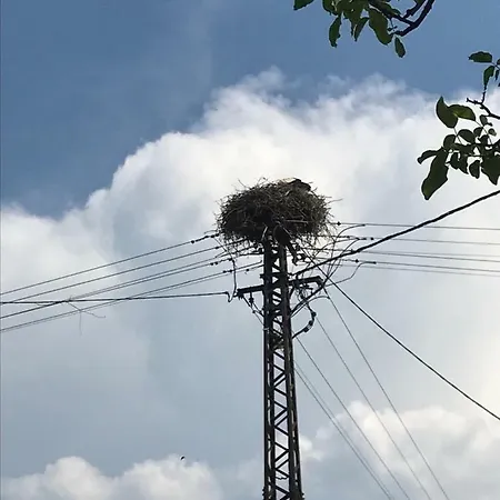 아파트 Golyashaz Kovagoors